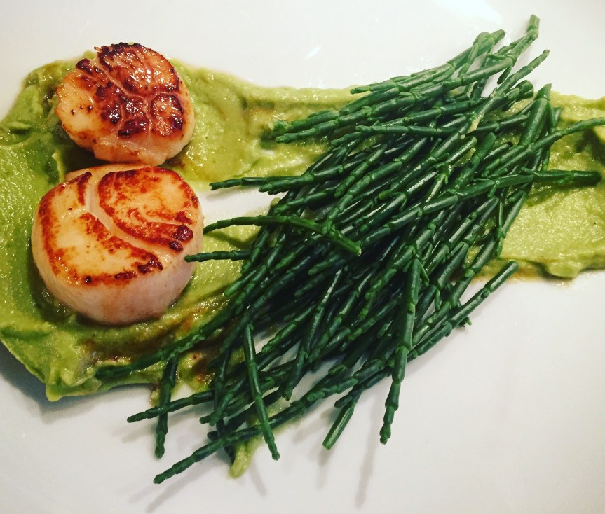 Jakobsmuschel, Salicornes, Avocado