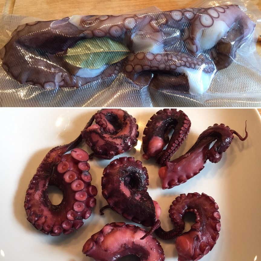 8a89f0da-5ca7-467c-b247-27502c6e7f8d