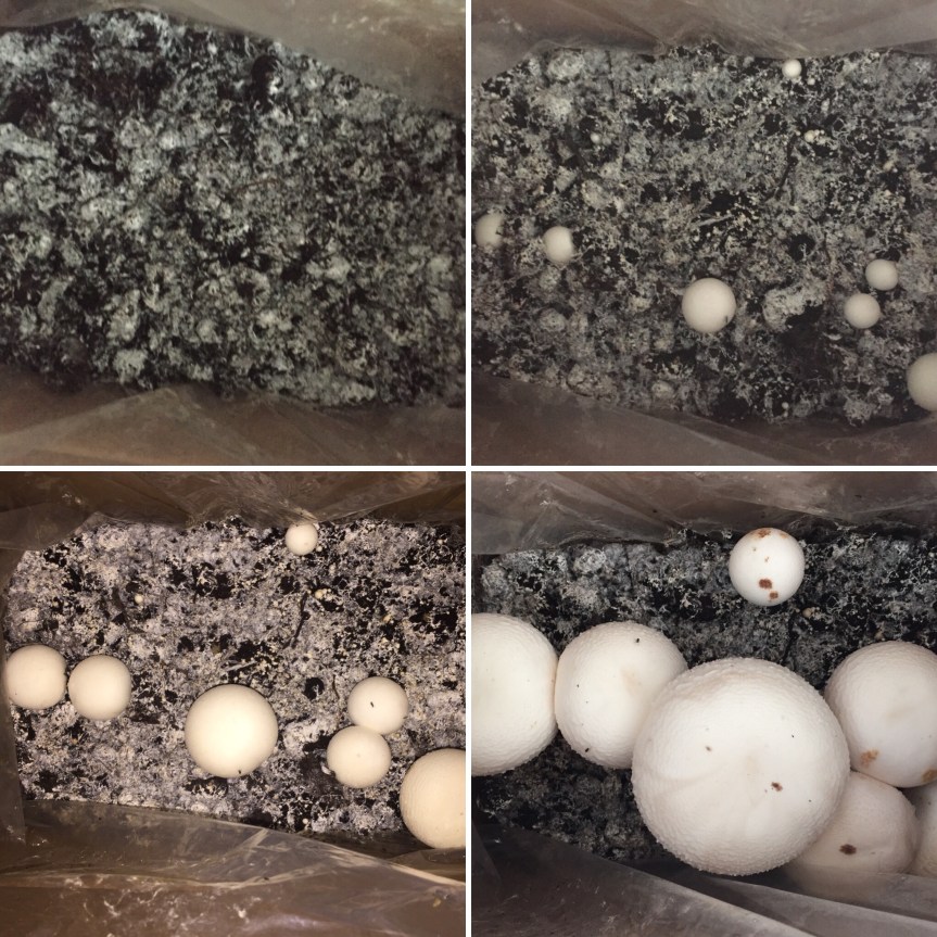 eea96ac5-de3a-4cfd-8c77-b4f5f3eaf616