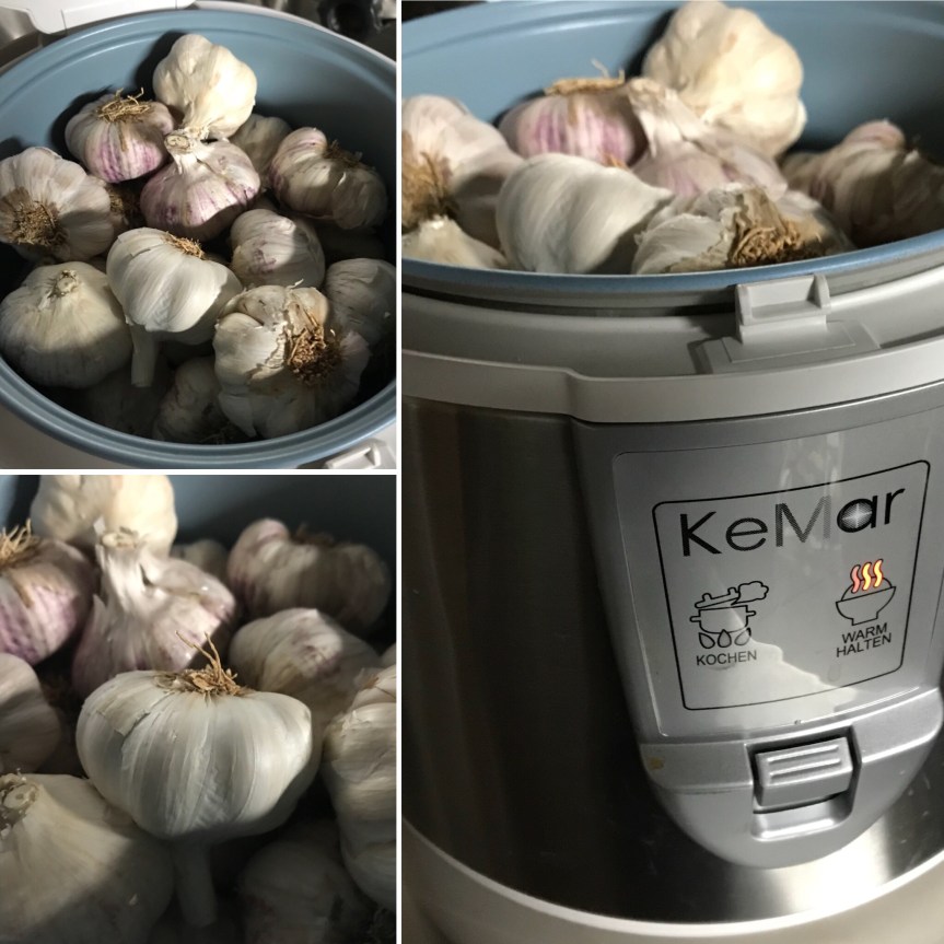 4be967e1-dc1a-42e9-9f6f-db64384f4bcc