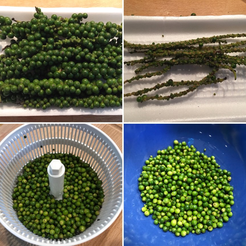 8a635f0c-ad9a-4c1a-bf39-a07d21796971