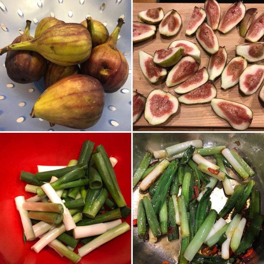 fef55b22-a40e-497a-817e-9bfced6cd2bc